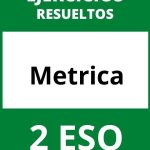 Ejercicios De Metrica 2 ESO PDF