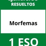 Ejercicios De Morfemas 1 ESO PDF