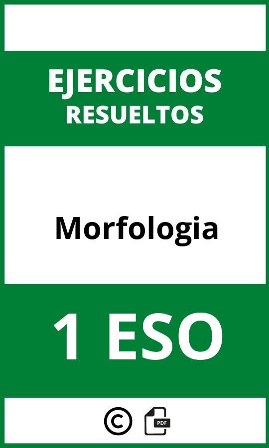 Ejercicios De Morfologia 1 ESO PDF