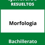 Ejercicios De Morfologia Bachillerato PDF