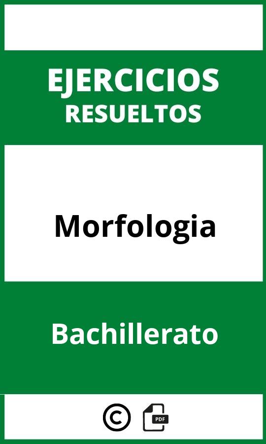 Ejercicios De Morfologia Bachillerato PDF