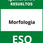 Ejercicios De Morfología ESO PDF