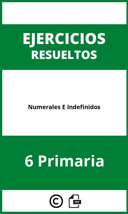 Ejercicios De Numerales E Indefinidos 6 Primaria PDF