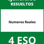 Ejercicios De Numeros Reales 4 ESO PDF