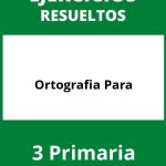 Ejercicios De Ortografia Para 3 Primaria PDF