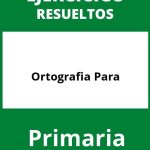 Ejercicios De Ortografia PDF Para Primaria