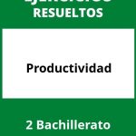 Ejercicios De Productividad 2 Bachillerato PDF