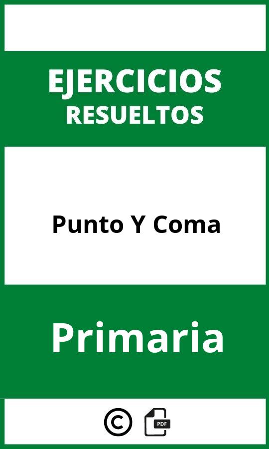 Ejercicios De Punto Y Coma Primaria PDF