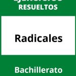 Ejercicios De Radicales Bachillerato PDF