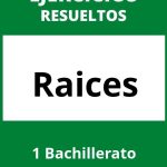 Ejercicios De Raices 1 Bachillerato PDF