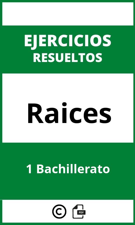 Ejercicios De Raices 1 Bachillerato PDF