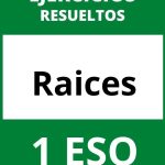 Ejercicios De Raices 1 ESO PDF