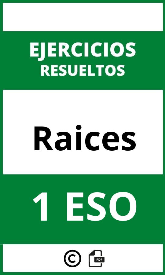 Ejercicios De Raices 1 ESO PDF