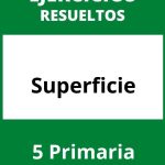 Ejercicios De Superficie 5 Primaria PDF