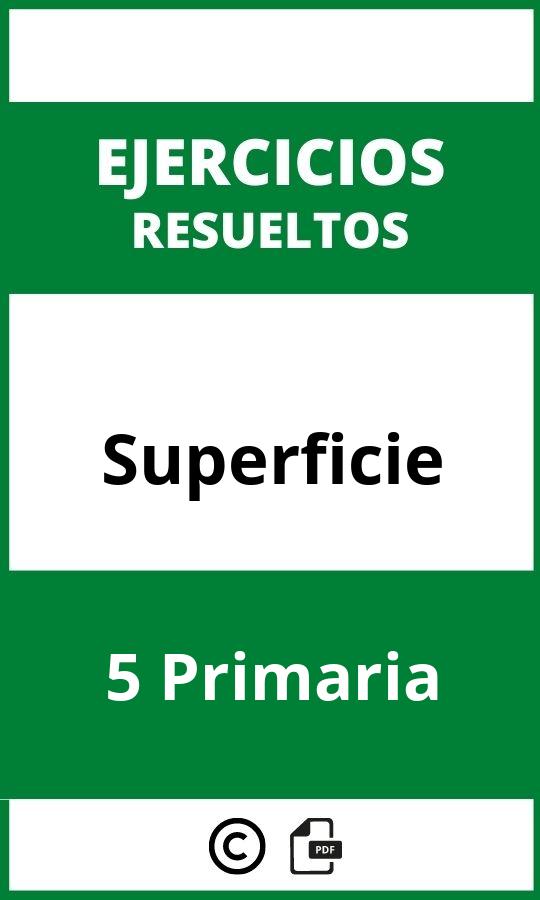 Ejercicios De Superficie 5 Primaria PDF