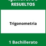 Ejercicios De Trigonometria 1 Bachillerato PDF