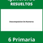 Ejercicios Descomposicion De Numeros 6 Primaria PDF