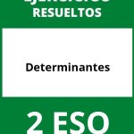 Ejercicios Determinantes 2 ESO PDF