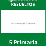 Ejercicios Determinantes Articulos Y Demostrativos 5 Primaria PDF