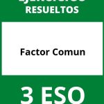 Ejercicios Factor Comun 3 ESO PDF