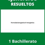 Ejercicios Formulacion Organica E Inorganica 1 Bachillerato PDF