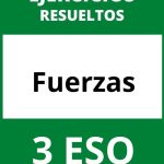 Ejercicios Fuerzas 3 ESO PDF