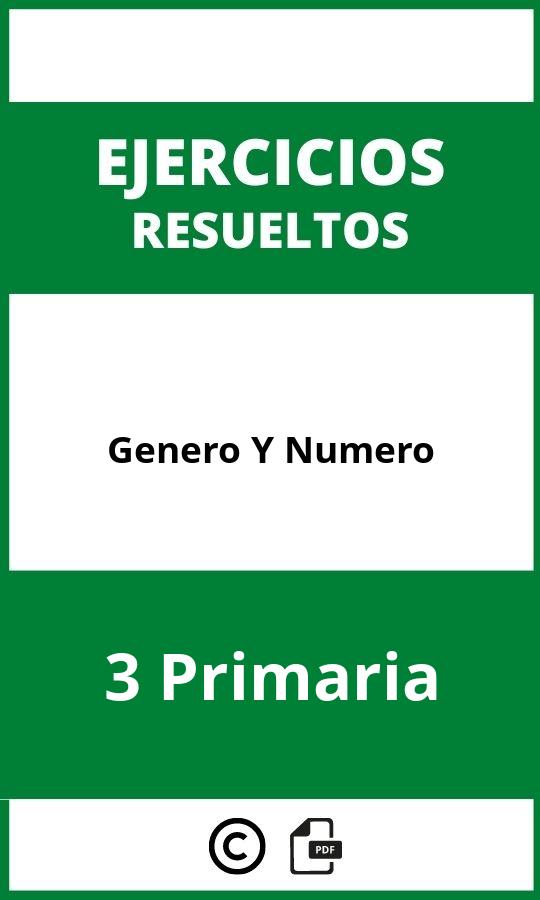 Ejercicios Genero Y Numero 3 Primaria PDF