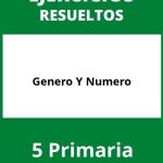 Ejercicios Genero Y Numero 5 Primaria PDF