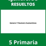 Ejercicios Genero Y Numero Sustantivos 5 Primaria PDF