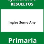 Ejercicios Ingles Primaria Some Any PDF