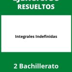 Ejercicios Integrales Indefinidas 2 Bachillerato PDF