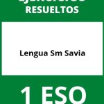 Ejercicios Lengua 1 ESO Sm Savia PDF