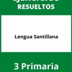 Ejercicios Lengua 3 Primaria PDF Santillana