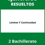 Ejercicios Limites Y Continuidad 2 Bachillerato PDF