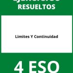 Ejercicios Limites Y Continuidad 4 ESO PDF