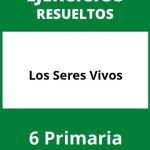 Ejercicios Los Seres Vivos 6 Primaria PDF