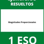 Ejercicios Magnitudes Proporcionales 1 ESO PDF