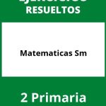 Ejercicios Matematicas 2 Primaria PDF Sm