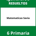 Ejercicios Matematicas 6 Primaria Savia PDF