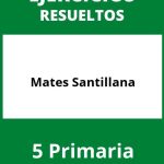 Ejercicios Mates 5 Primaria Santillana PDF