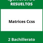 Ejercicios Matrices 2 Bachillerato Ccss PDF