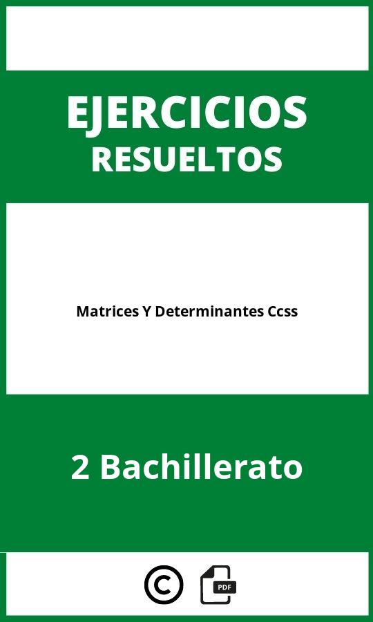 Ejercicios Matrices Y Determinantes 2 Bachillerato Ccss PDF