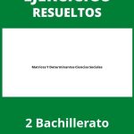 Ejercicios Matrices Y Determinantes 2 Bachillerato Ciencias Sociales PDF