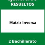 Ejercicios Matriz Inversa 2 Bachillerato PDF