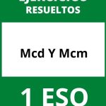 Ejercicios Mcd Y Mcm 1 ESO PDF