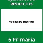 Ejercicios Medidas De Superficie 6 Primaria PDF