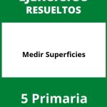 Ejercicios Medir Superficies 5 Primaria PDF