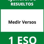 Ejercicios Medir Versos 1 ESO PDF