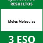 Ejercicios Moles Moleculas 3 ESO PDF