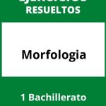 Ejercicios Morfologia 1 Bachillerato PDF